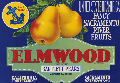 Elmwood Brand Bartlett Pears