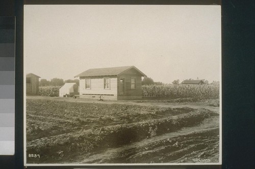 Farm laborer's cottage on allotment W. Domingo Galves (Chilean), #158