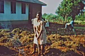 Nordveststiftet, Tanzania, 1984. Mange eftermiddage går med markarbejde på Ntoma Husholdningsskole. Her har eleverne fjernet ukrudt og revet det sammen, og de skal nu til at brænde det af