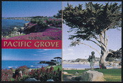 Pacific Grove - coast and sculpture