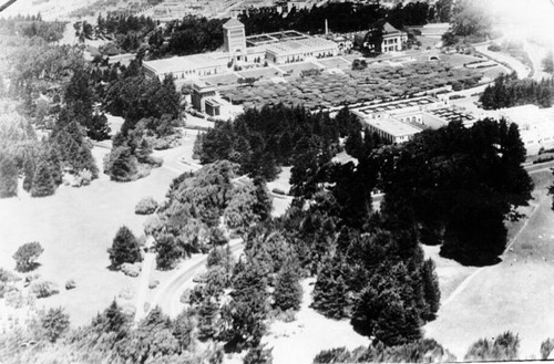 [Aerial view of the De Young Museum and surrounding area in Golden Gate Park]