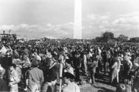 Crowd on the National Mall