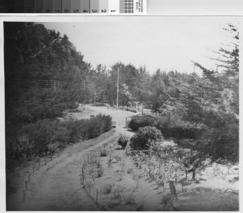 View from Old Junction House, before 1912