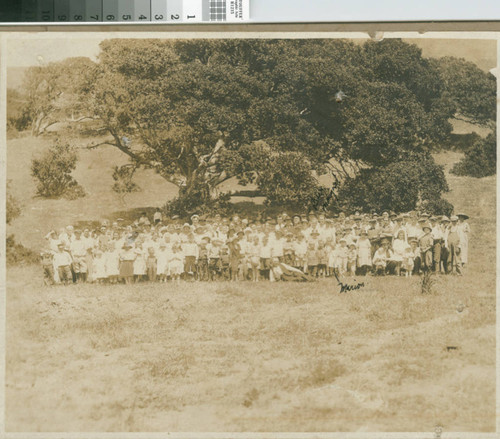 Woodmen of the World Picnic, ca. 1910s