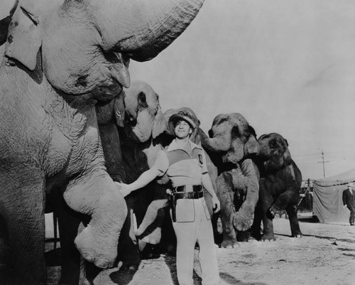 Clyde Beatty and elephants