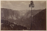 General view of Yosemite Valley, from the Mariposa Trail