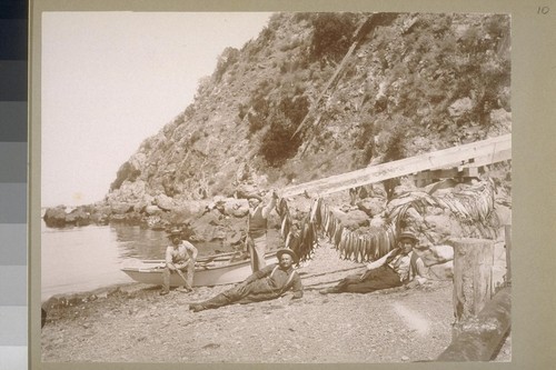 [Fishermen posing with fish on shore]