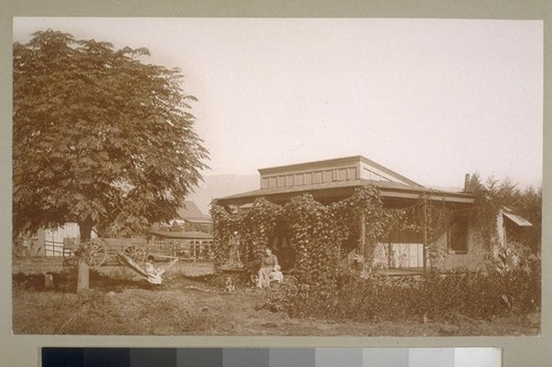 [Woman, children, and dogs in rural home]