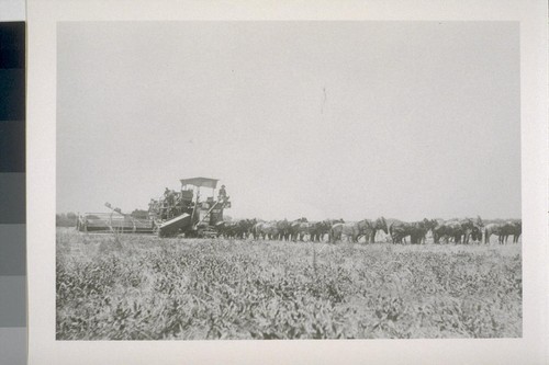 [Horse team and machinery.]