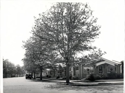 Houses on Mariposa Avenue