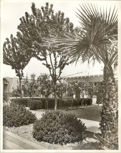 Front yard of a house