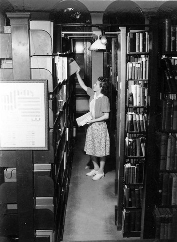 Book stacks in the library