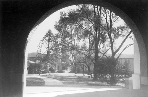 Library view from old quad