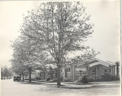 Houses on Mariposa Avenue