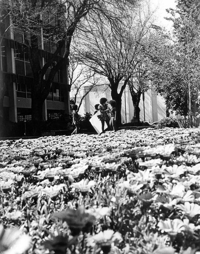 Students at San Jose State College