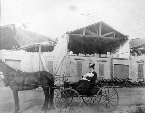 Female driving a horse drawn carriage