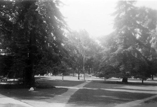 View from the Reserve Book Room