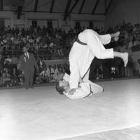 Two men compete in a judo match