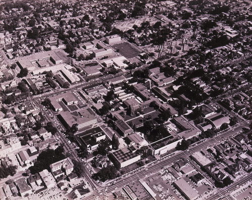 Aerial view of San Jose State College, 1959