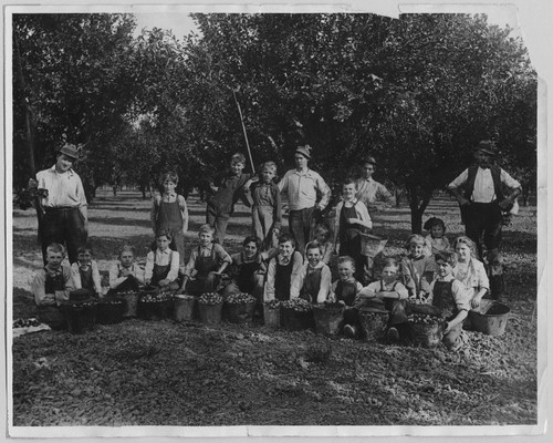 Children and adult prune pickers posing with full buckets [ca. 1940]