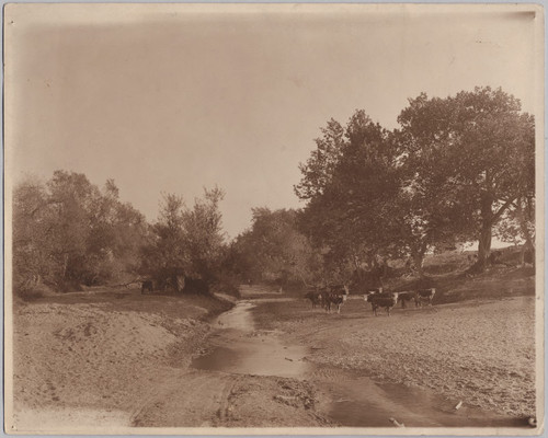 Dunne Ranch, Gilroy, ca. 1900