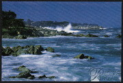 Pacific Grove - rocky shore