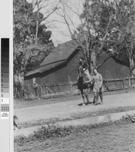 Exercising "Bluenose" at the San Mateo Polo Field