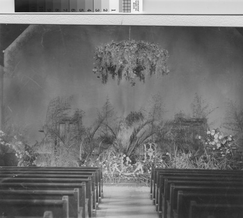 San Mateo Congregational Church decorated for the wedding of William Dickie