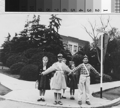 Crossing Guard Duty