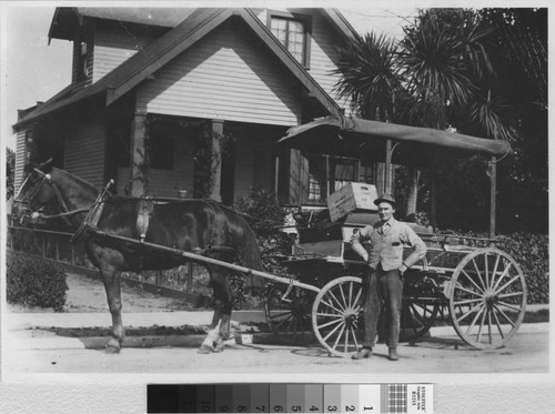 Levy Brothers (Dry Goods Store) Delivery Wagon