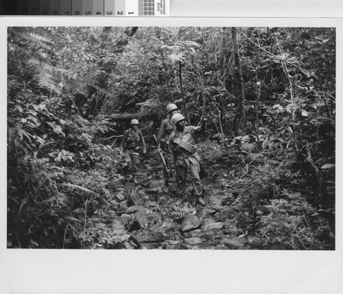 Soldiers on patrol - Vietnam