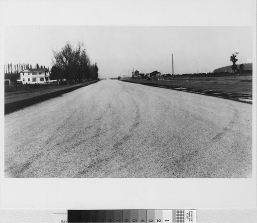 Bayshore highway at Coyote Point