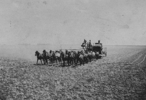 Horses pulling farm equipment