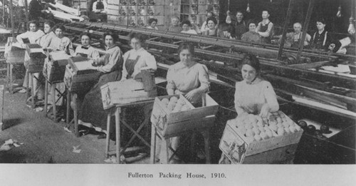 Fullerton packing house, 1910