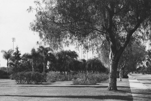 View of Memorial Park in 1966