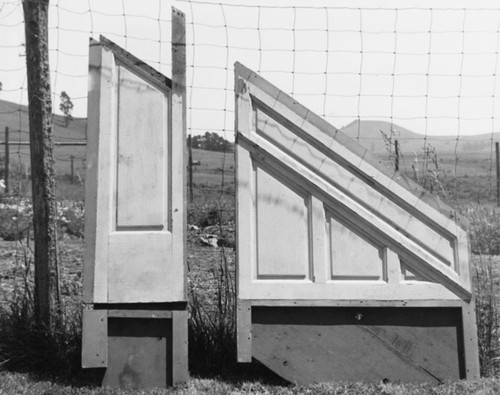 Examples of paneling (pine) from the entry hall stairway of the Dr. J. A. Hatch house about 1981