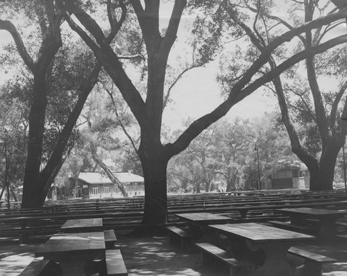 Picnic area in Irvine Park