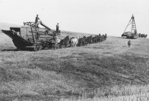 Buchheim Ranch, 1905