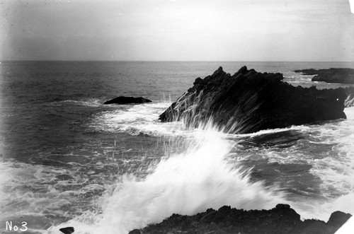 Laguna Beach coastline