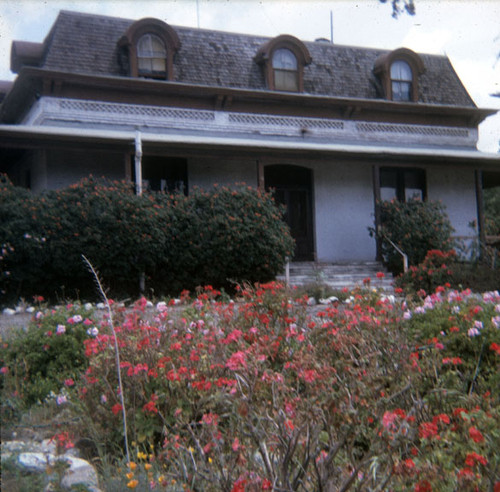 Another view of Las Rosas front yard