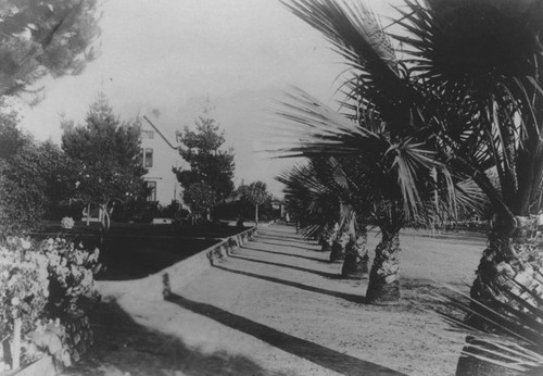 Ninth Street looking east from Bush in the 1890s