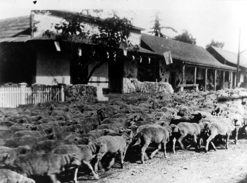 Vanderleck-Yorba Capistrano adobe, 1880