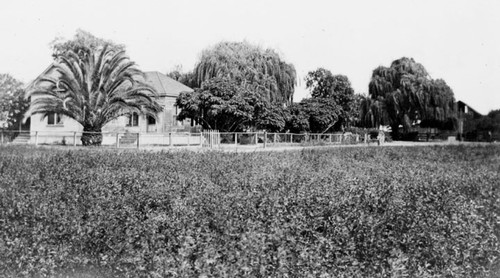 Tedfords ranch south of Santa Ana