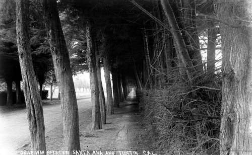 Driveway between Santa Ana and Tustin