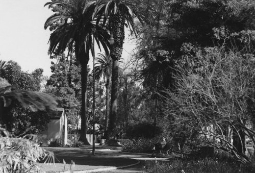 View of Birch Park in 1966