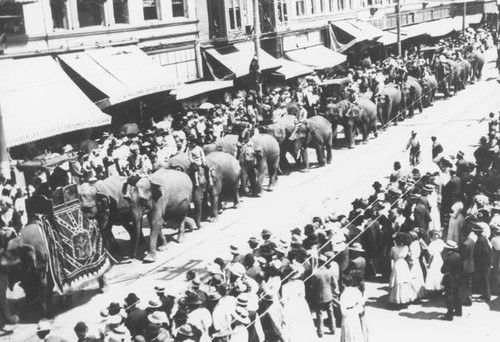 Ringling Bros. Circus Parade on Fourth Street in 1910