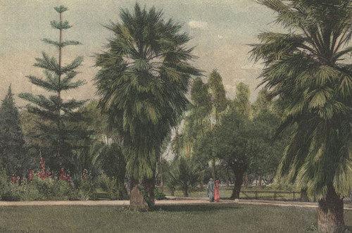 "A Typical Garden, near Santa Ana" about 1892