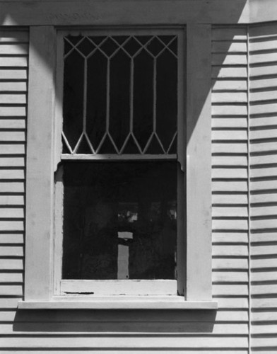 Wood window detail from the Dr. J. A. Hatch house about 1981