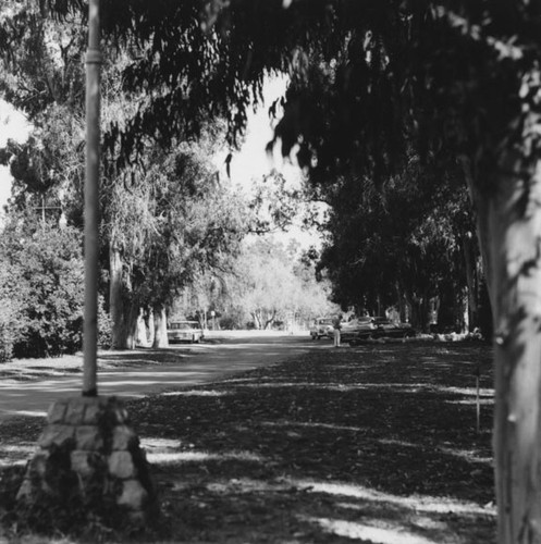 View of Santiago Park in 1966