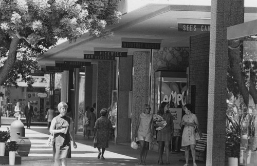 Fashion Square shopping center on N. Main Street